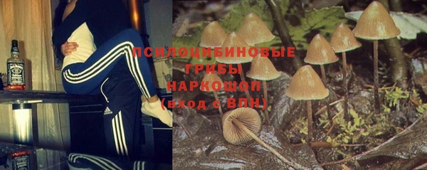 a pvp Арсеньев