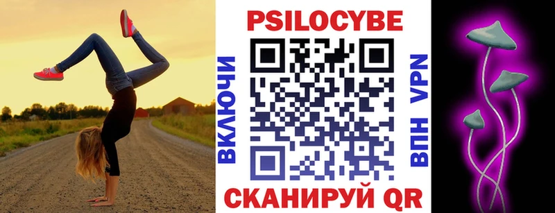 Купить закладки  Николаевск-на-Амуре  Псилоцибиновые грибы Psilocybine cubensis 