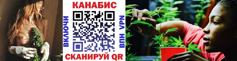 Купить где  Николаевск-на-Амуре  Каннабис White Widow 